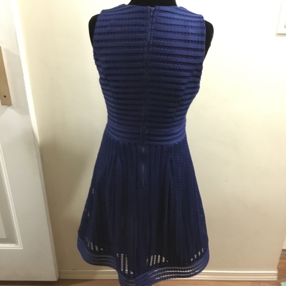 NWOT Gorgeous Pink Martini royal blue lace dress - Picture 5 of 15